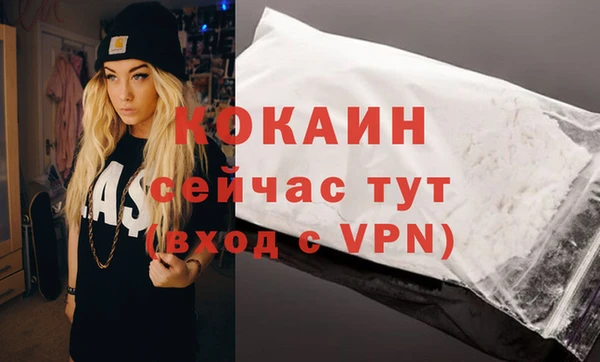 ПСИЛОЦИБИНОВЫЕ ГРИБЫ Гусь-Хрустальный