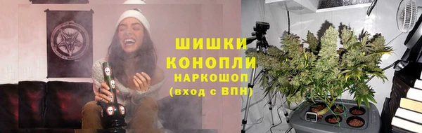 ПСИЛОЦИБИНОВЫЕ ГРИБЫ Гусь-Хрустальный