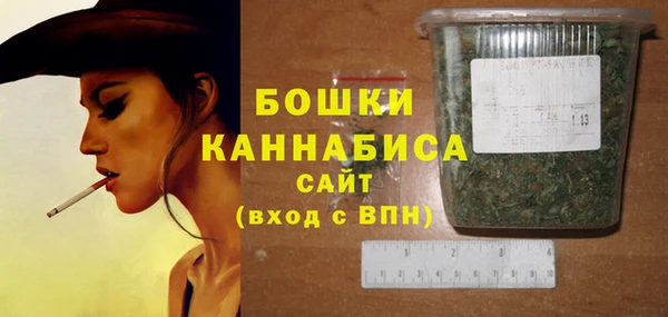 круглые Гусев
