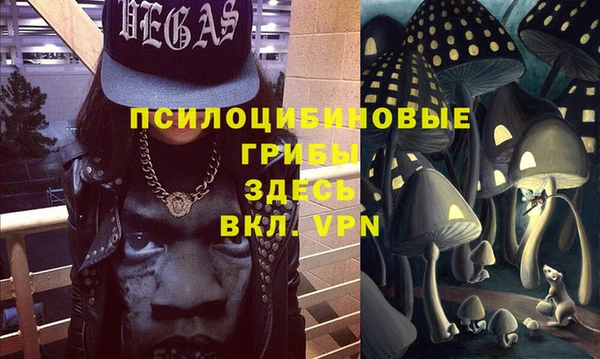ПСИЛОЦИБИНОВЫЕ ГРИБЫ Гусь-Хрустальный