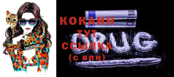 ПСИЛОЦИБИНОВЫЕ ГРИБЫ Гусь-Хрустальный