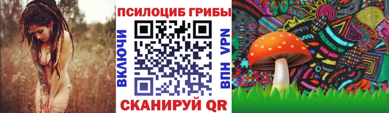 Псилоцибиновые грибы ЛСД  купить   Челябинск 
