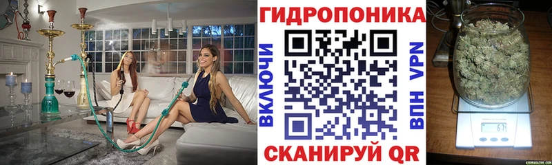 блэк спрут как войти  где можно купить   Челябинск  Бошки марихуана сатива 
